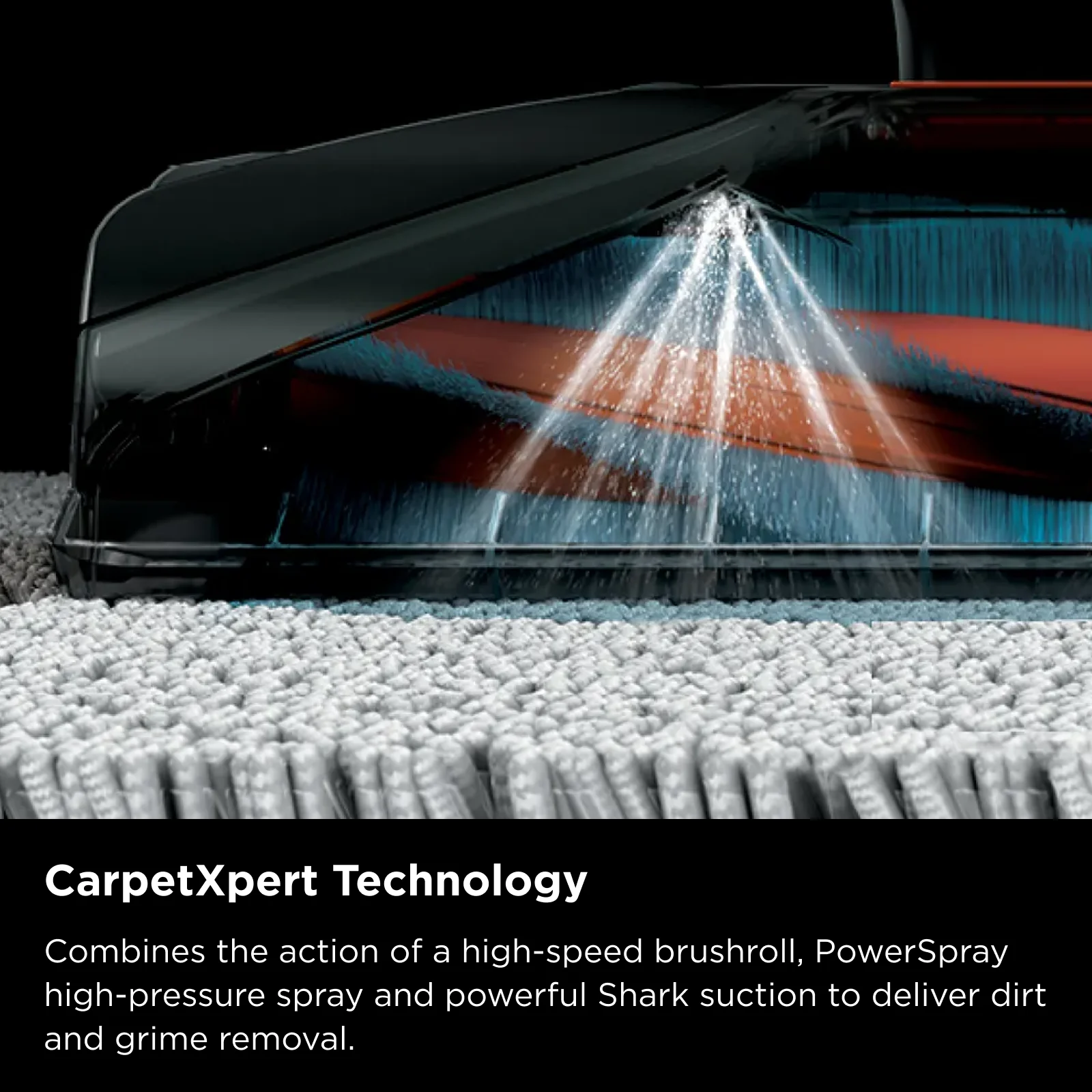 Shark CarpetXpert Deep Carpet Cleaner with Built-In StainStriker - Image 6