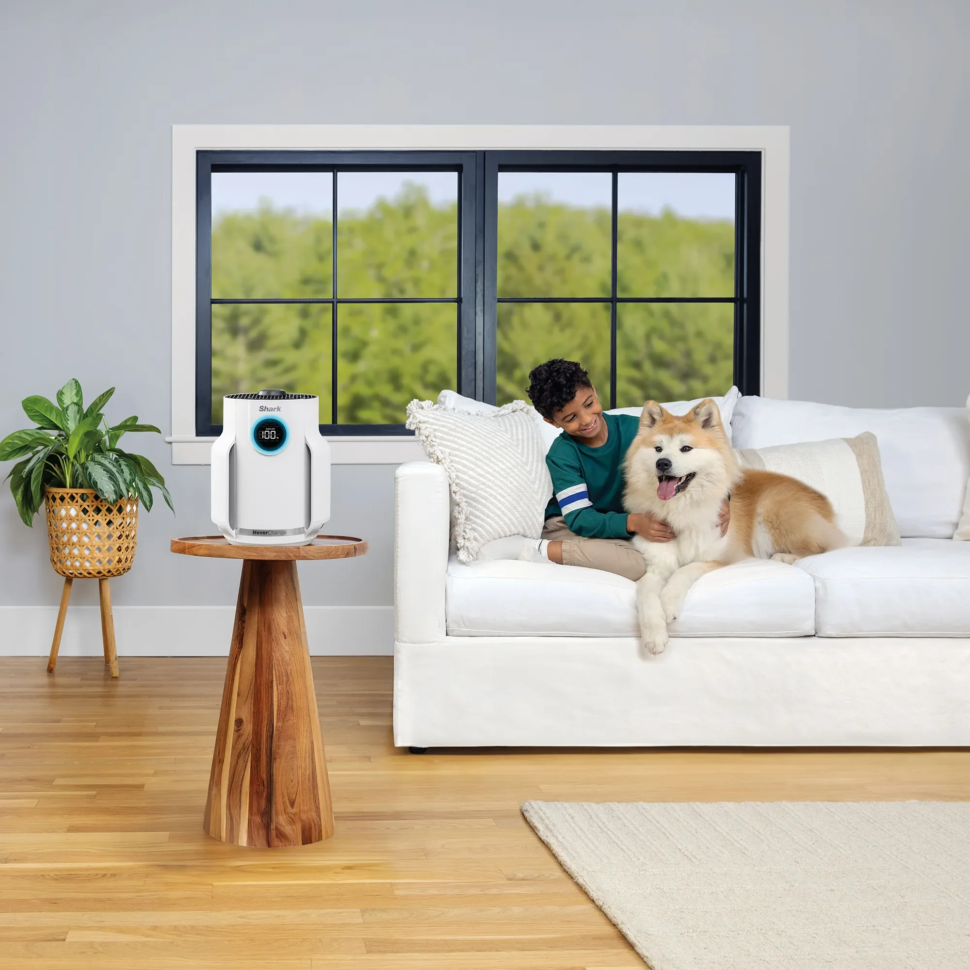 Shark NeverChange Air Purifier Compact Pro - Image 16