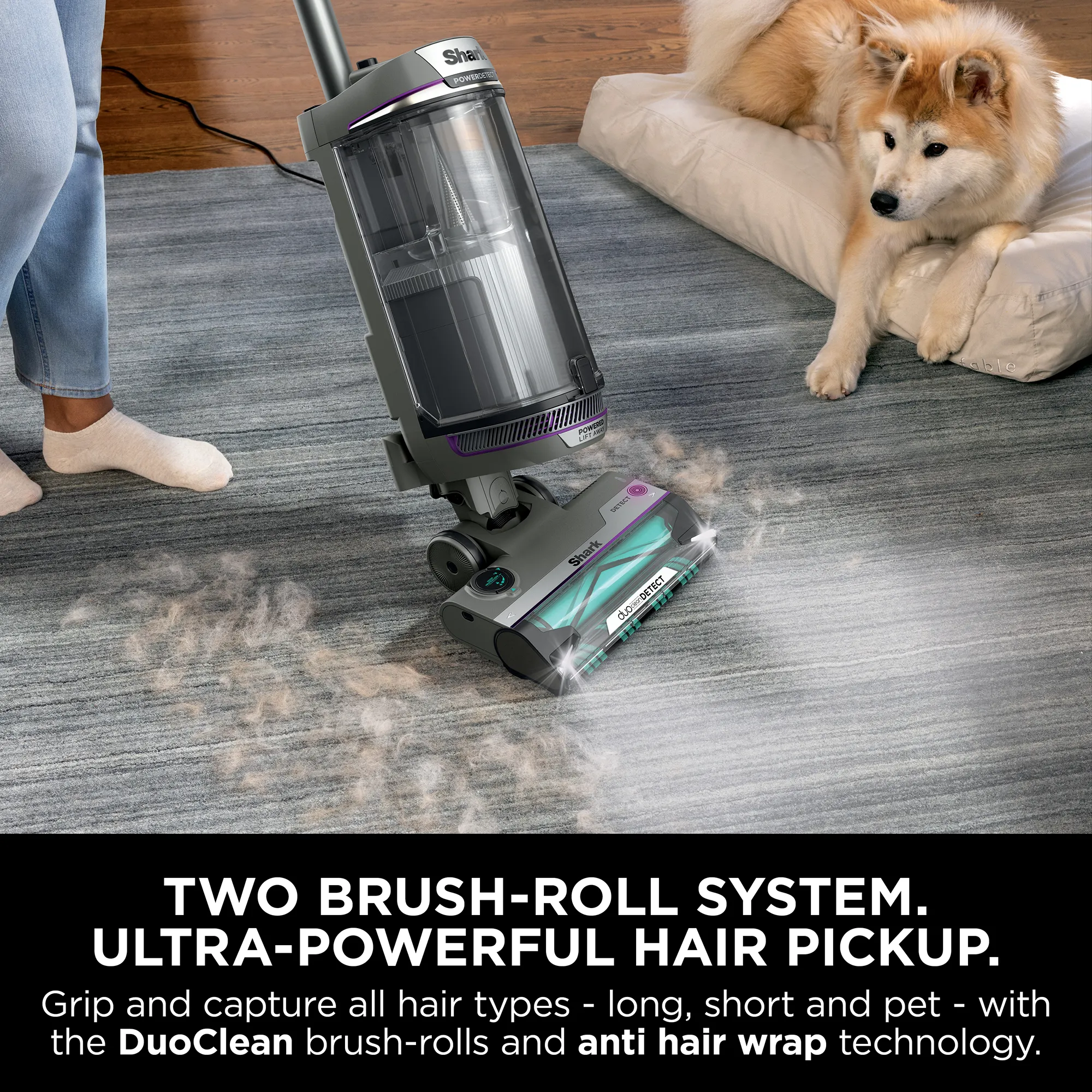 Shark PowerDetect Corded Upright - Image 4