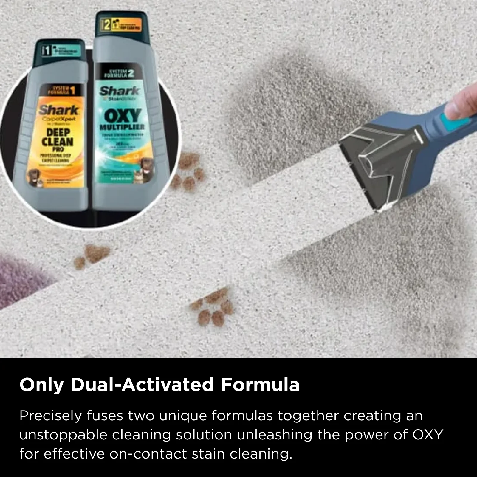 Shark StainStriker Portable Carpet & Upholstery Cleaner - Image 7